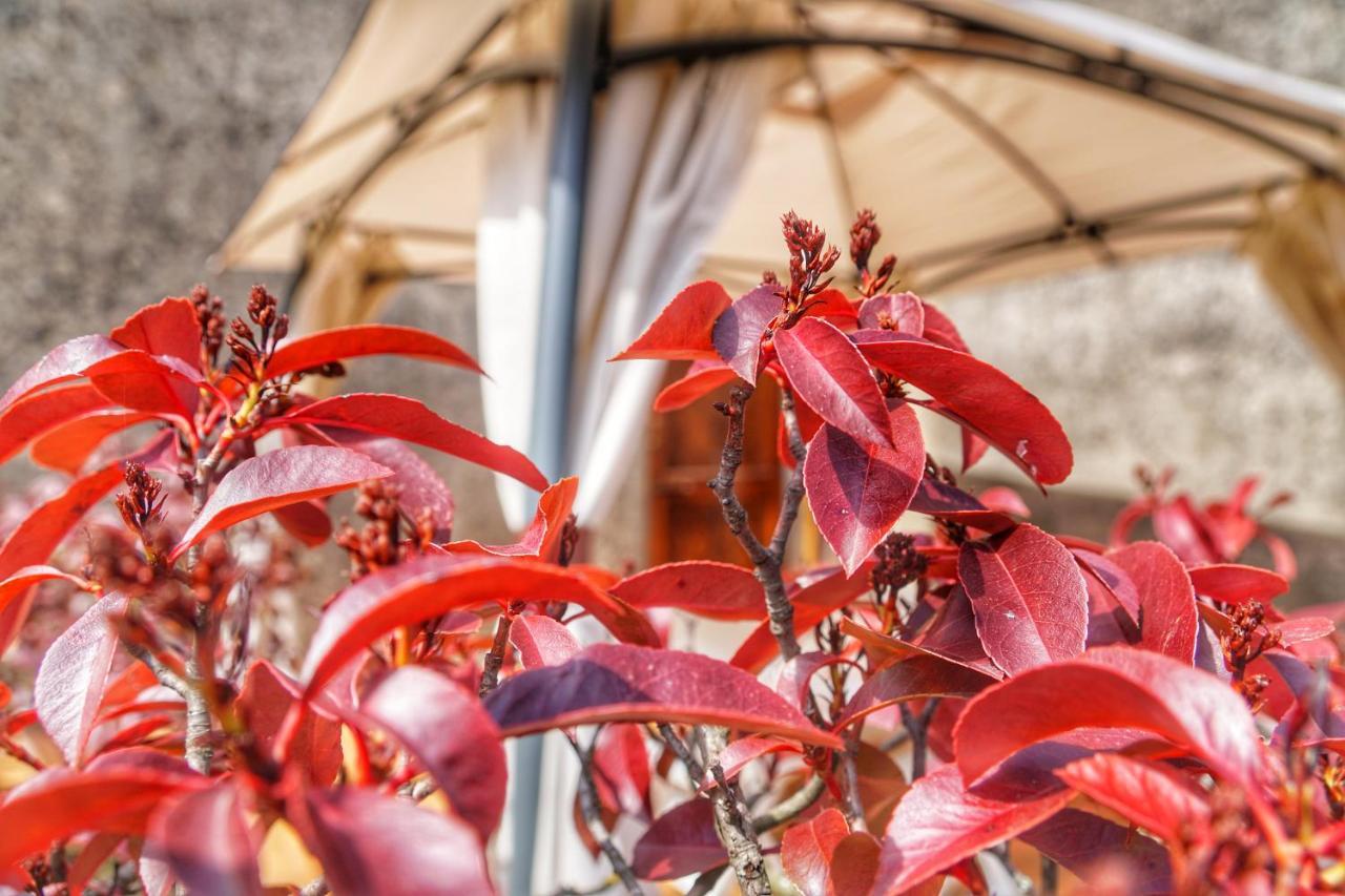 Apartmán Casa Da Pietro Poggio Alla Croce Exteriér fotografie